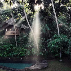 https://bamboo-turtles-ecolodge.ubudhotelsnow.com