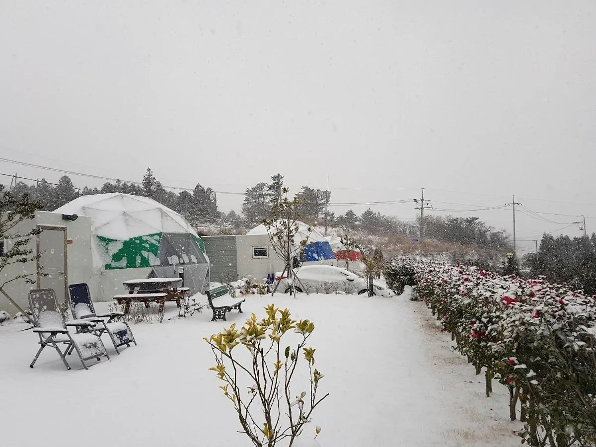 Jeju Starlight Glamping Villa South Korea